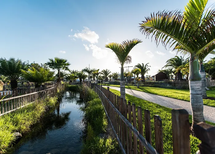 Thb トロピカルアイランド 4*